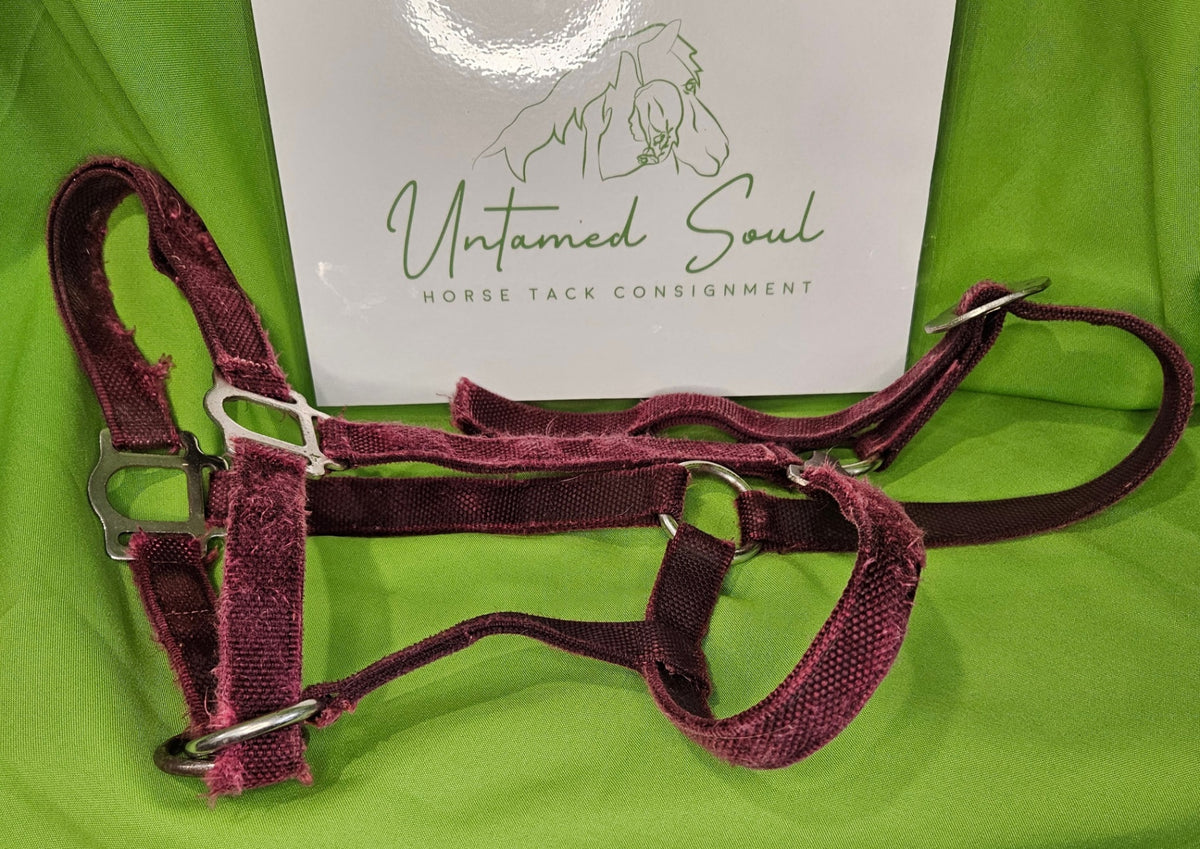 Halter – Nylon, Burgundy (Worn) | Used