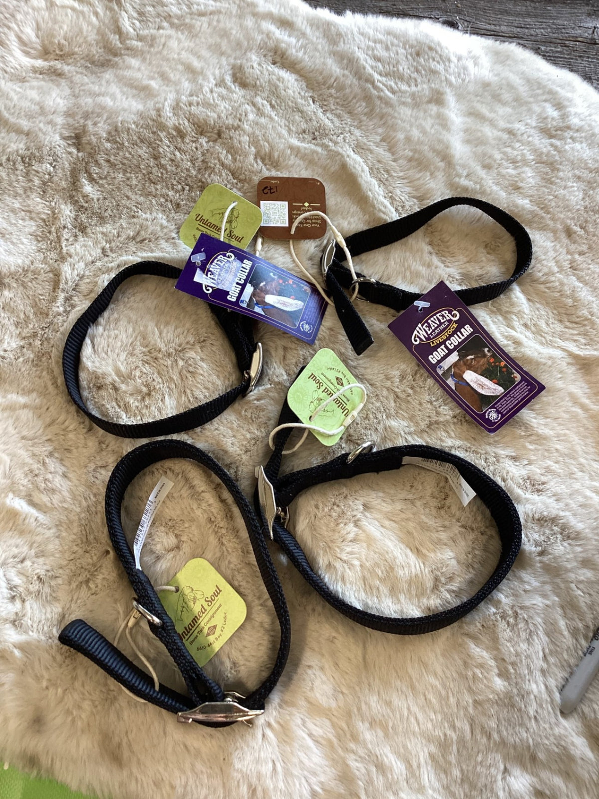Dog/Goat Collar – Nylon (Price Each) | Used