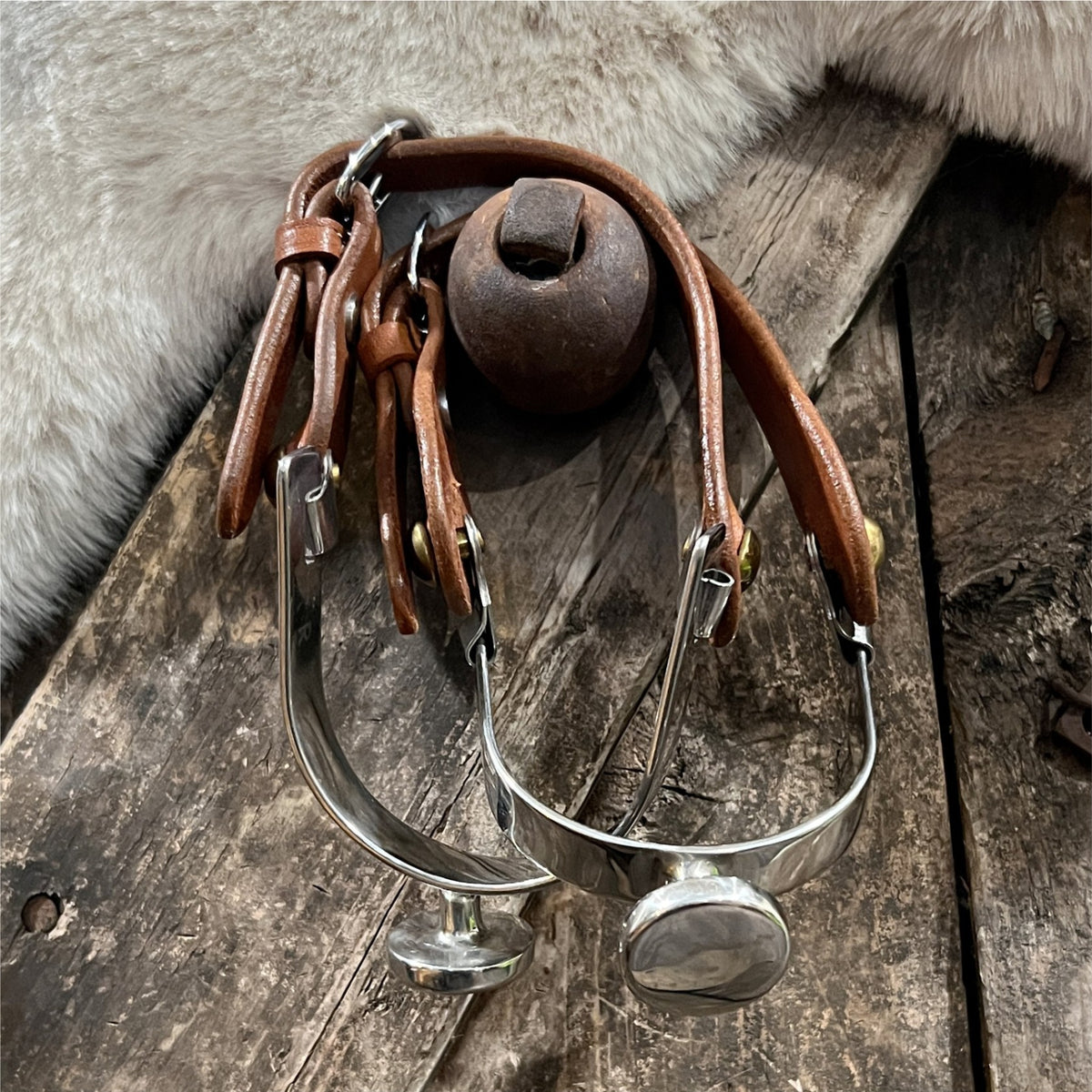 English Spurs – Shires Spursuader with Leather Straps | Used