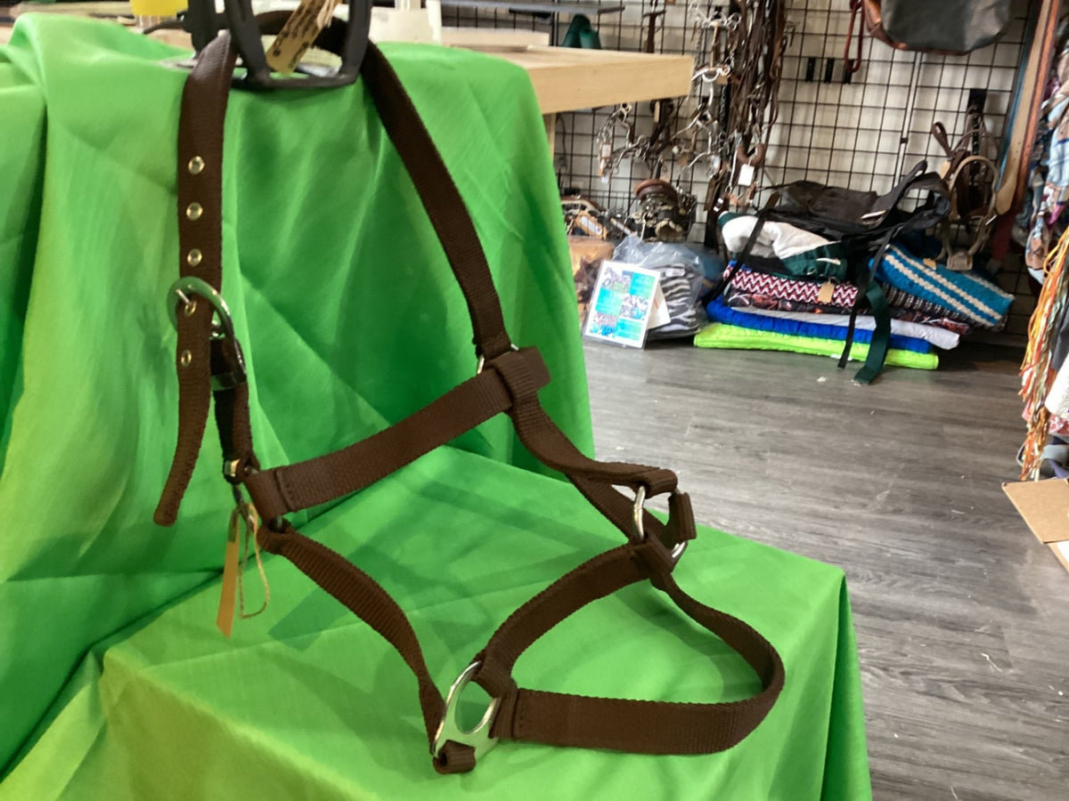 Halter – Nylon, Brown (A) | Used