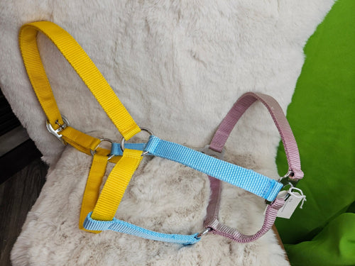 Halter – Nylon, Blue/Yellow, Full Horse | New