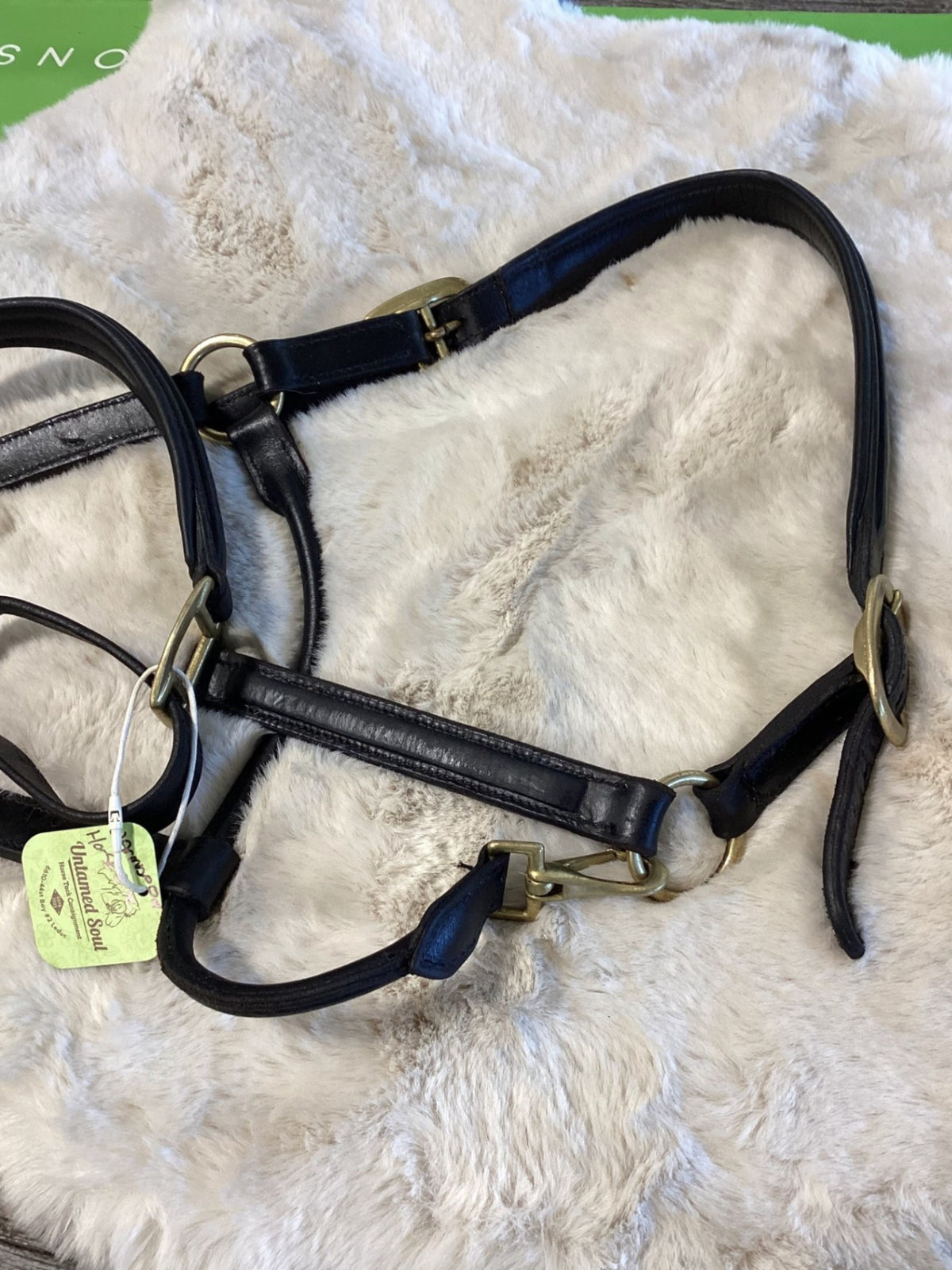 Halter – Leather, Warmblood/Large | Used