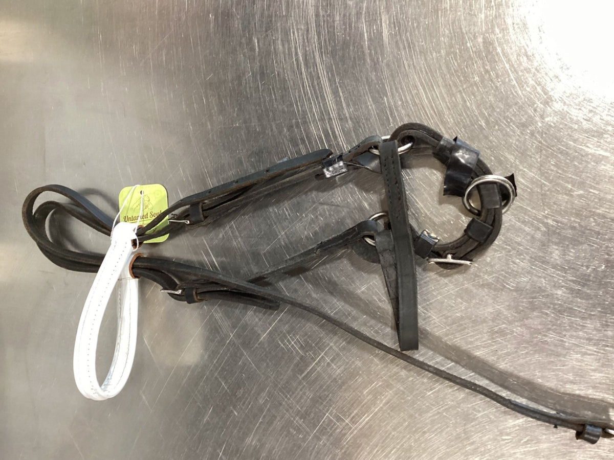 Show Halter – White | Used