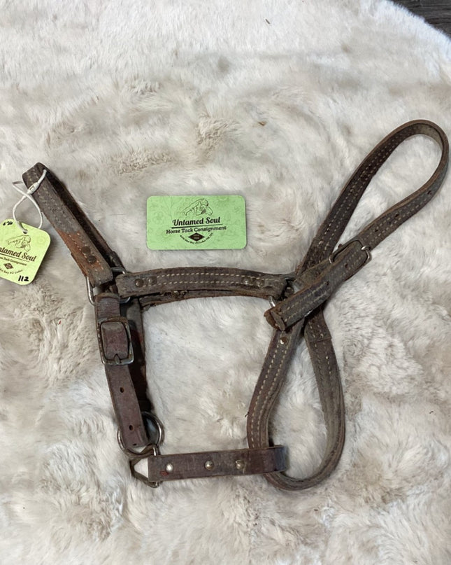 Halter – Leather, Small | Used