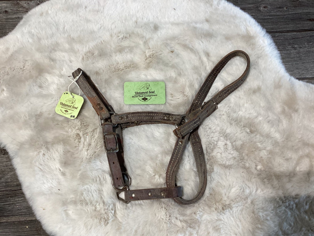 Halter – Leather, Small | Used