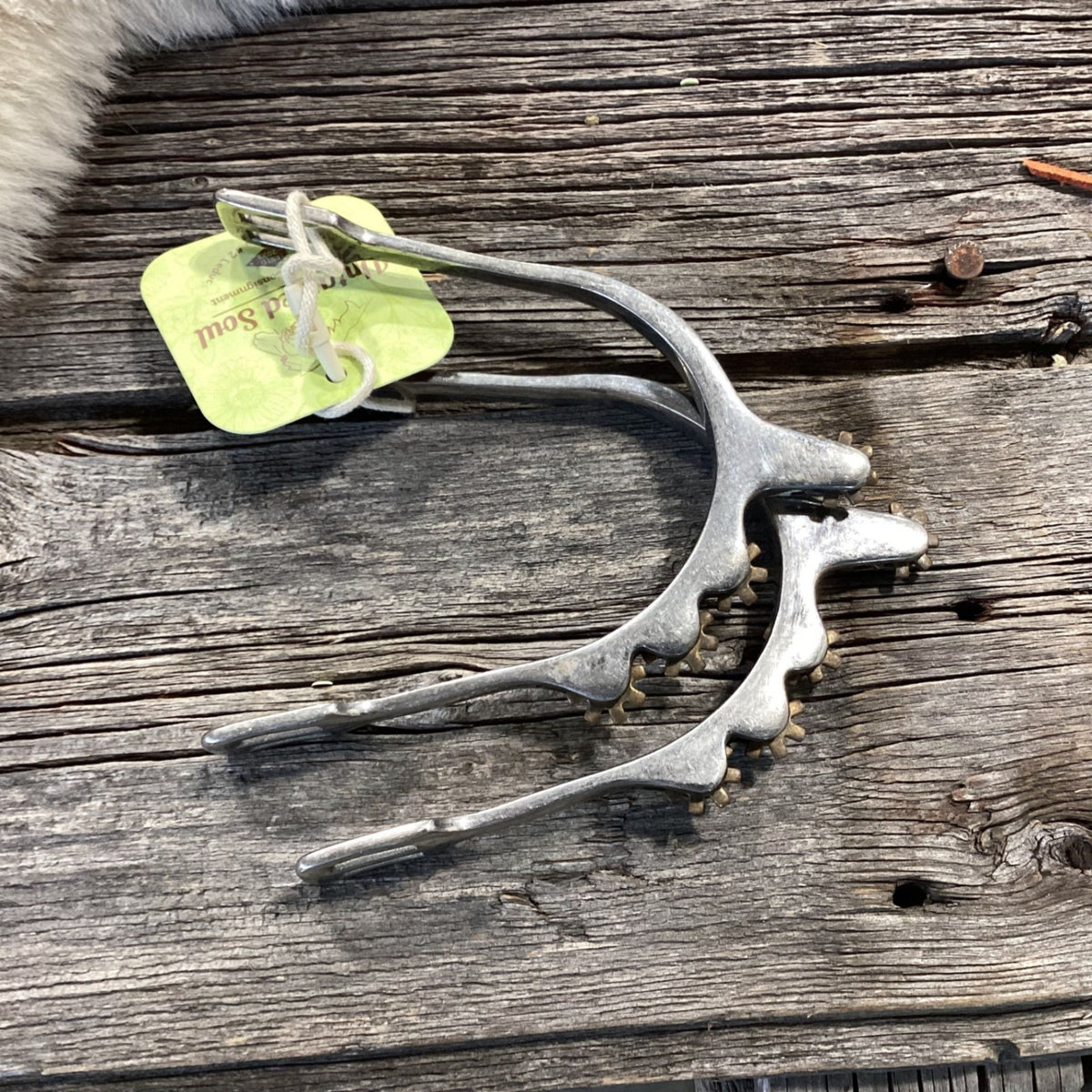 English Spurs – No Straps (B) | Used