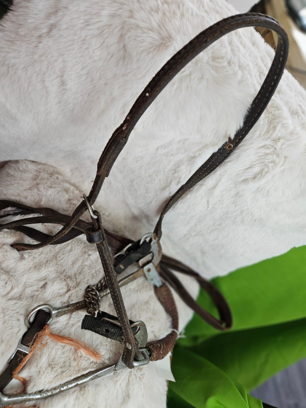 Hackamore – Mechanical with Western Headstall & Reins (Needs Oiling) | Used