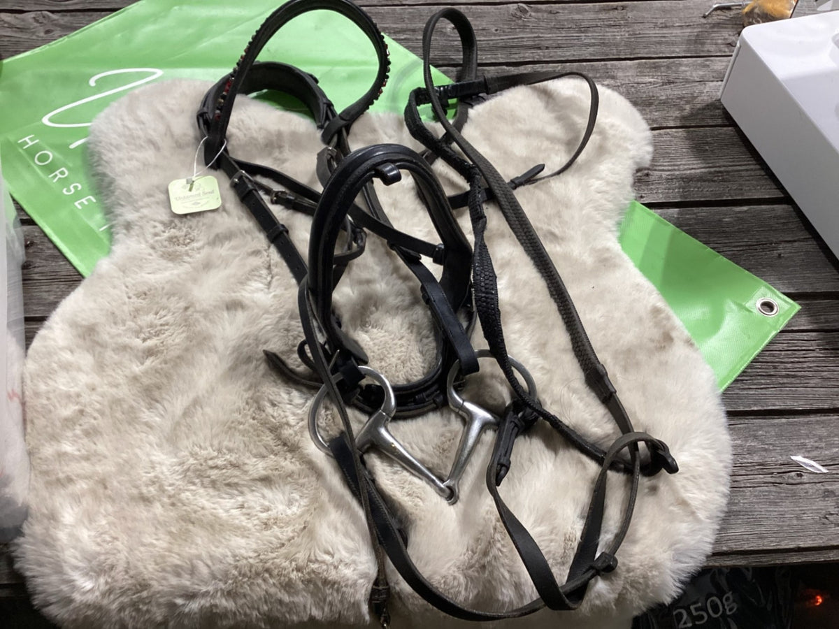 English Bridle with 5.5" Bit & Reins – Schooling | Used