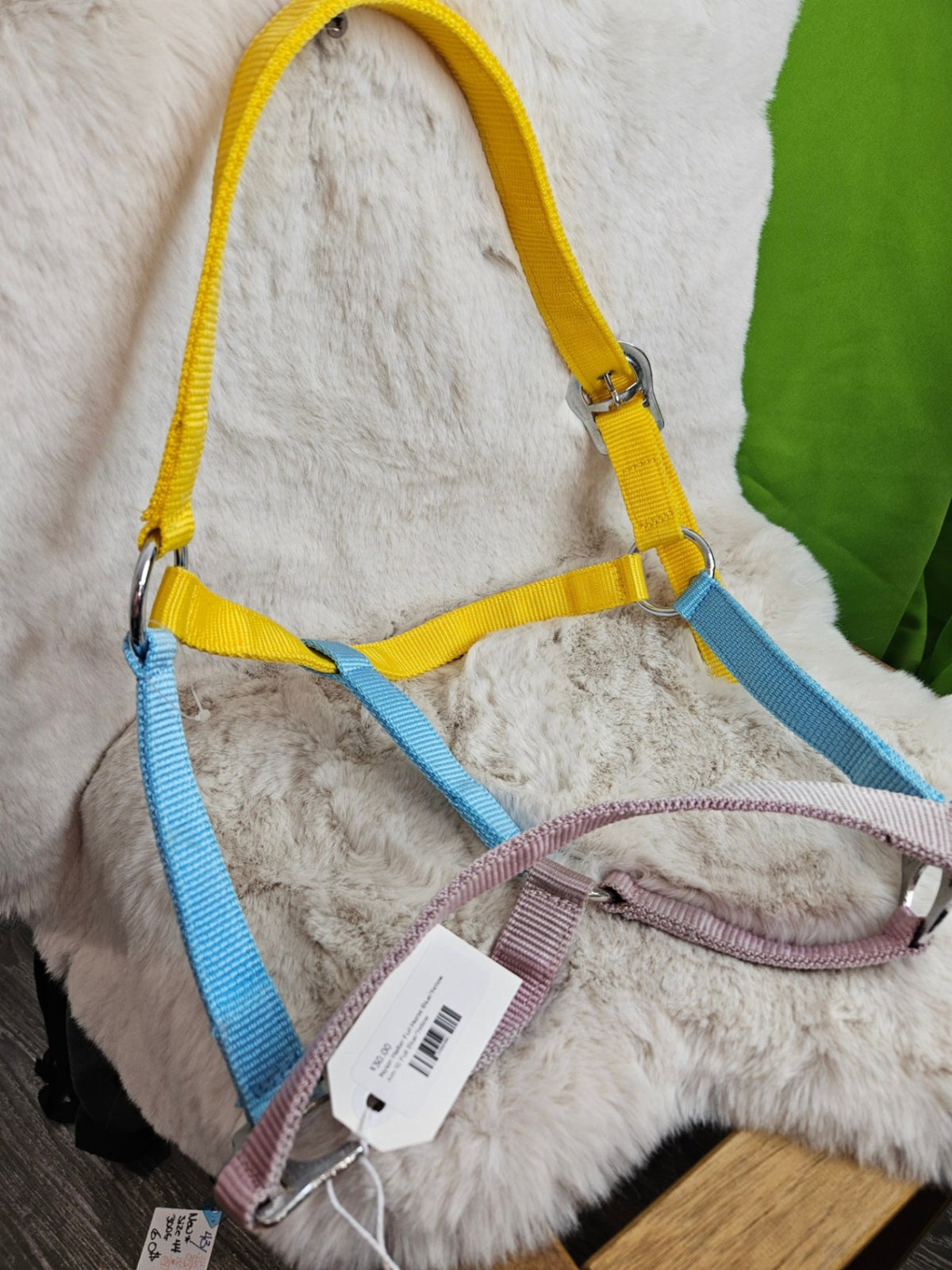 Halter – Nylon, Blue/Yellow, Full Horse | New