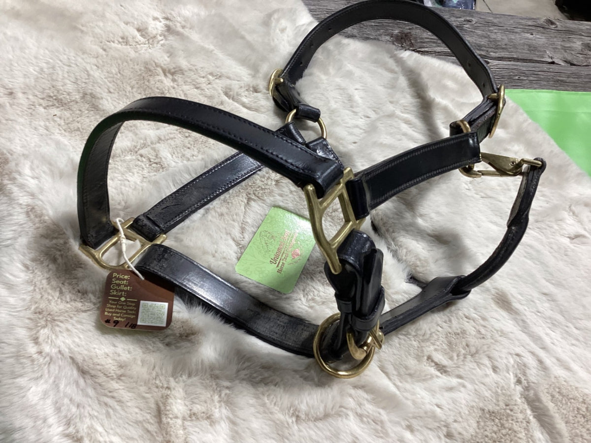 Halter – Leather, Black | Used