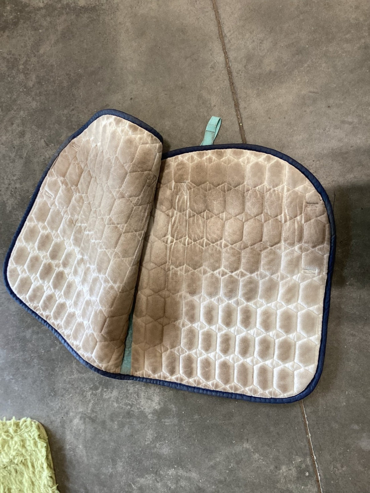 English Saddle Pad – Century | Used