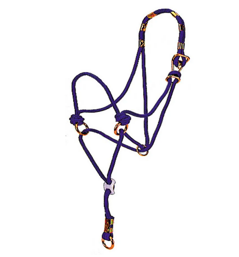 Halter – Rope, Be Nice, Blue | Used