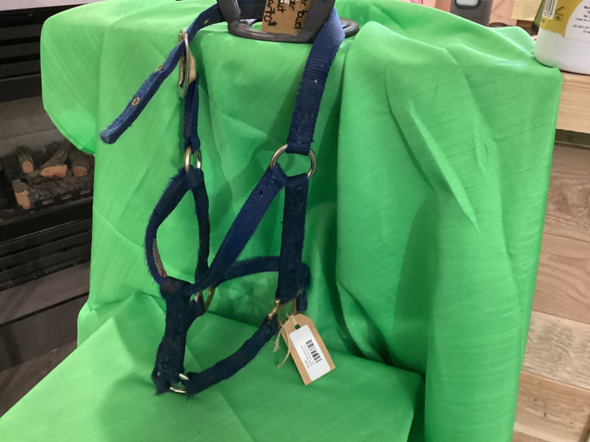 Halter – Nylon, Blue (2 Available) | Used