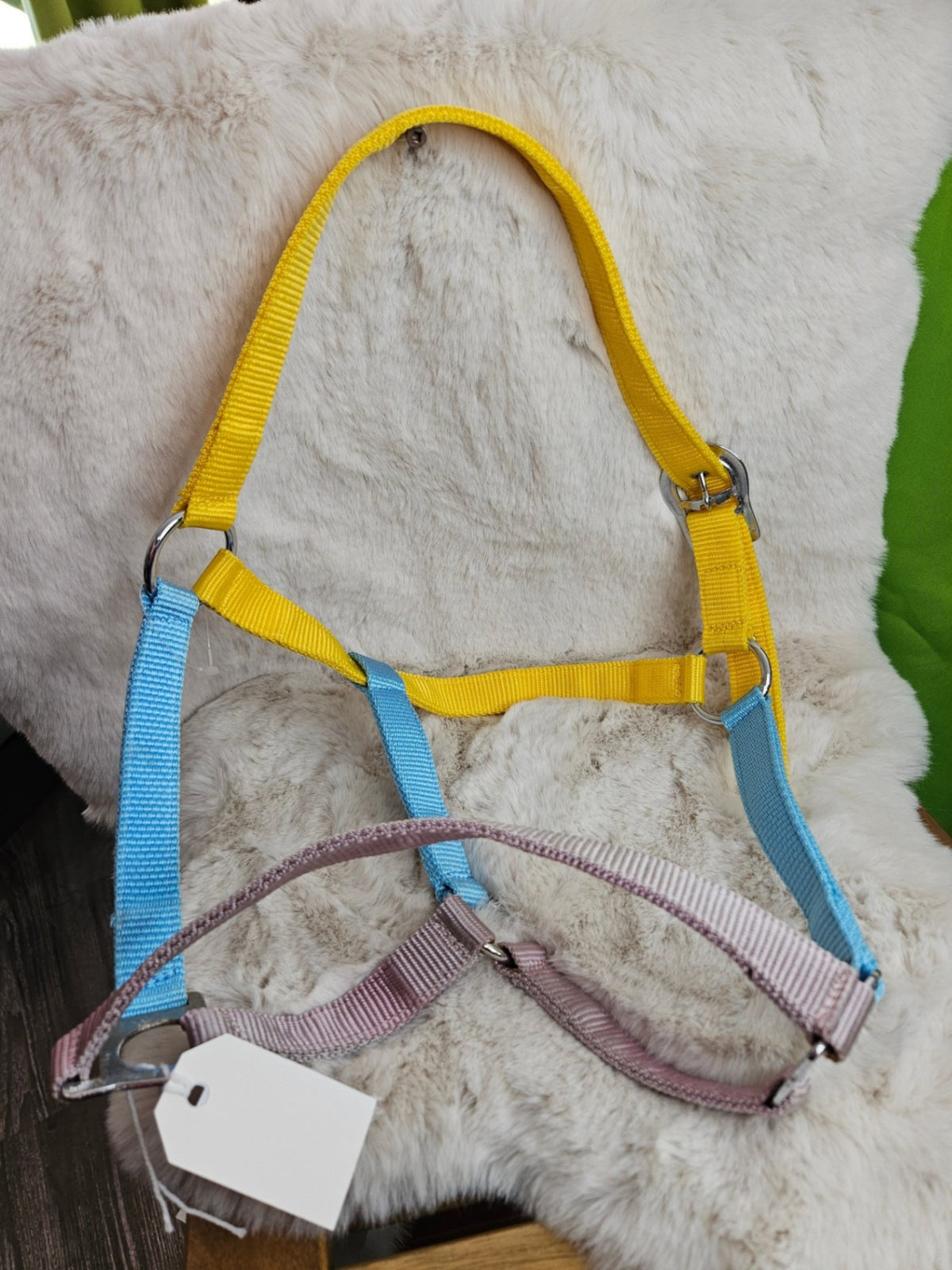 Halter – Nylon, Blue/Yellow, Full Horse | New