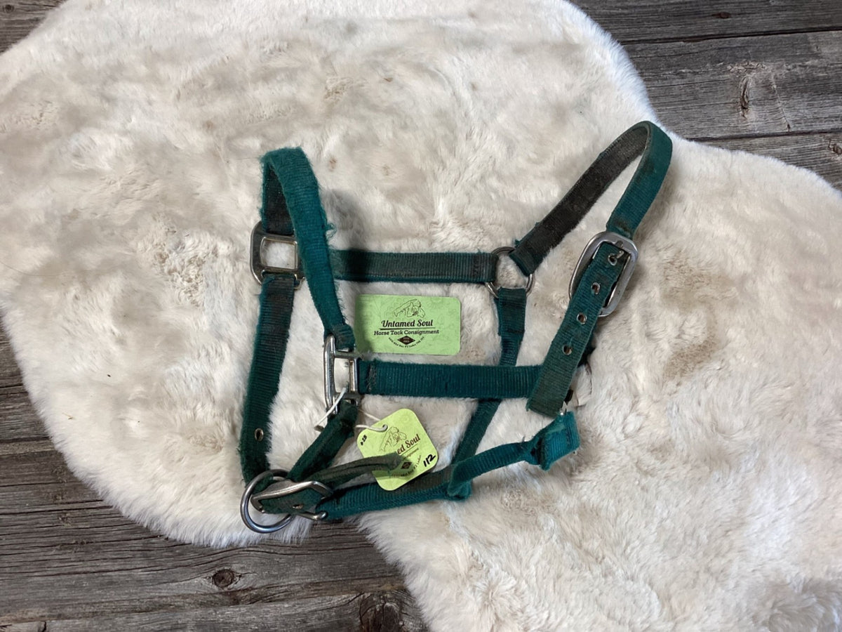 Halter – Nylon, Green, Small (A) | Used
