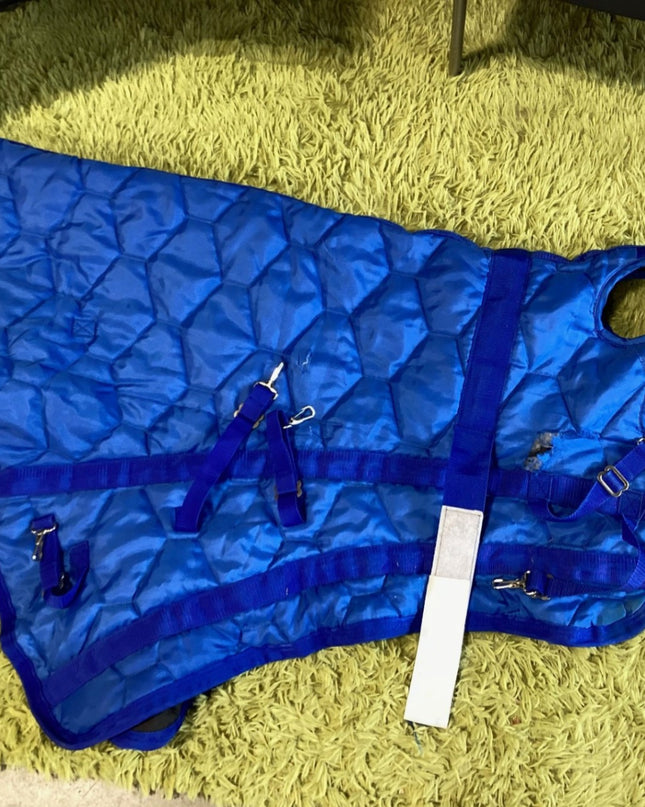 Neck Cover – Winter, Blue (Some Holes) | Used