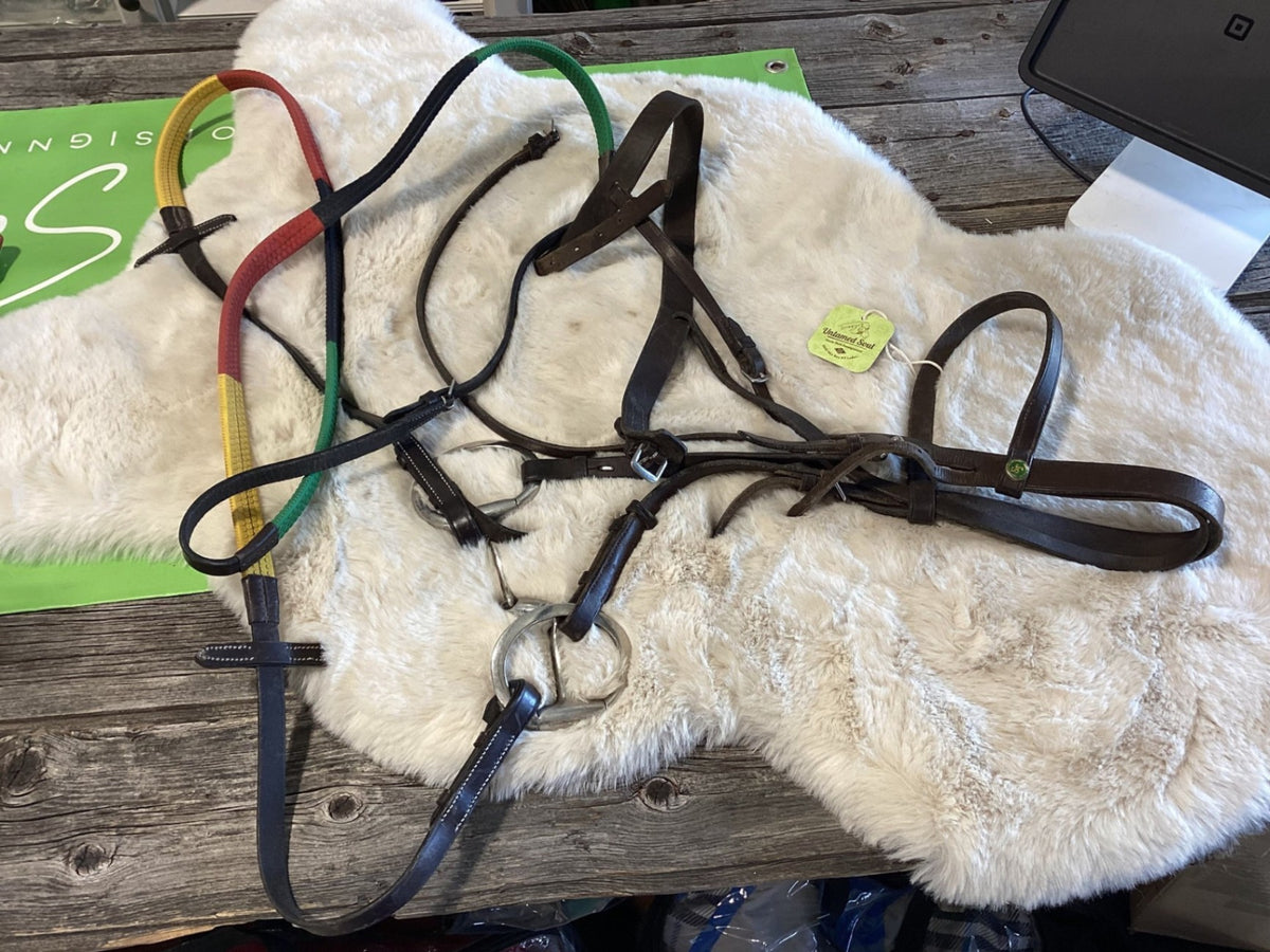English Bridle – with D-Ring Bit & Training Reins | Used