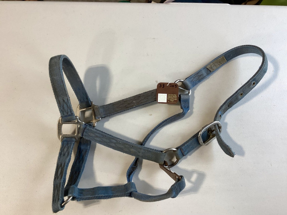 Halter – Nylon, Faded Blue | Used