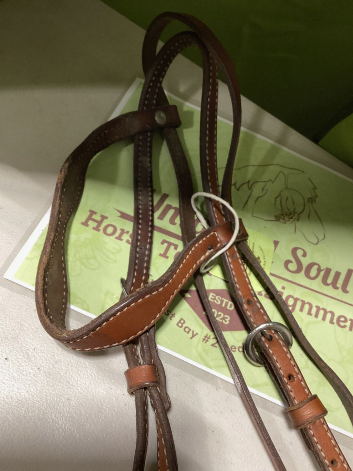 Western Bridle – with Bit | Used