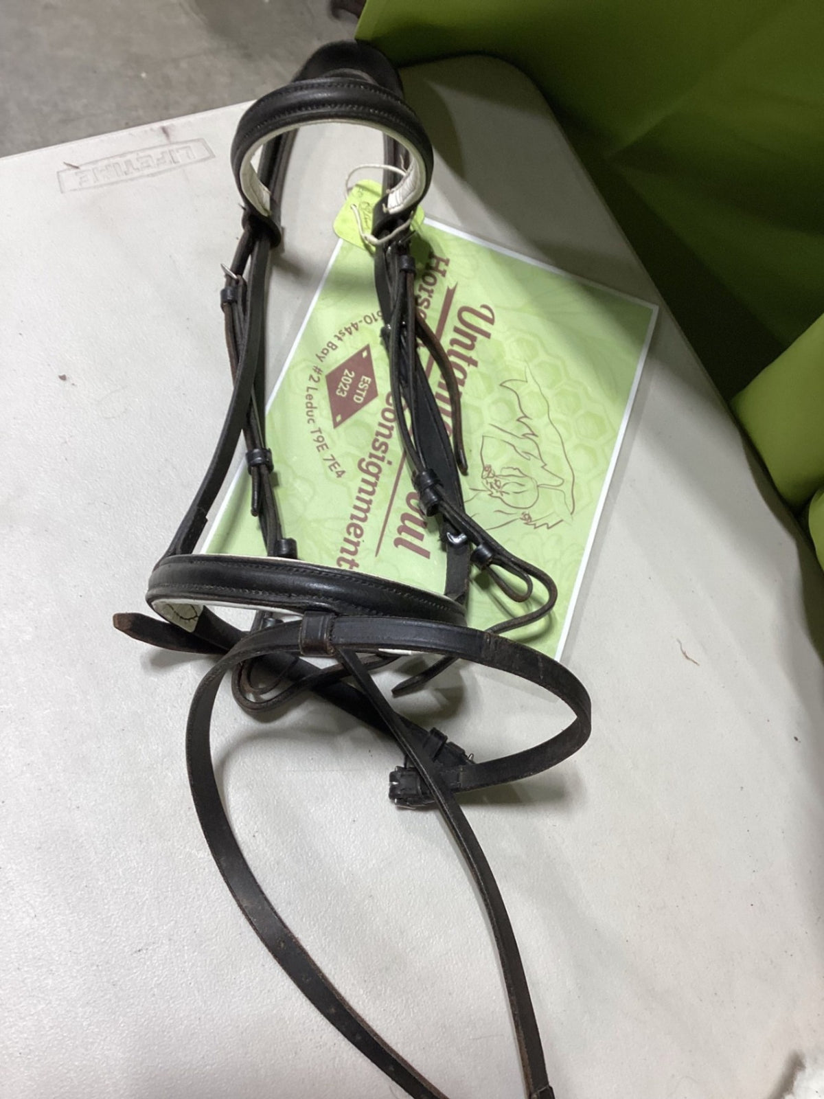 English Bridle – Black | Used