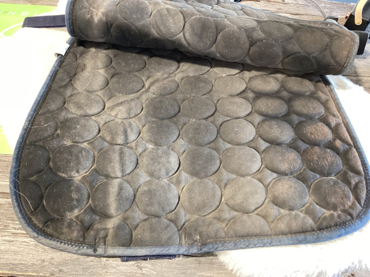 English Dressage Saddle Pad – Black, Cob | Used