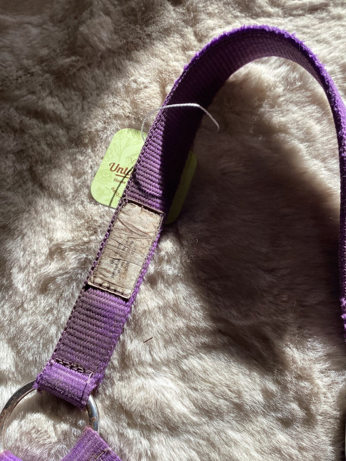 Halter – Nylon, Purple, Average (Est.) | Used