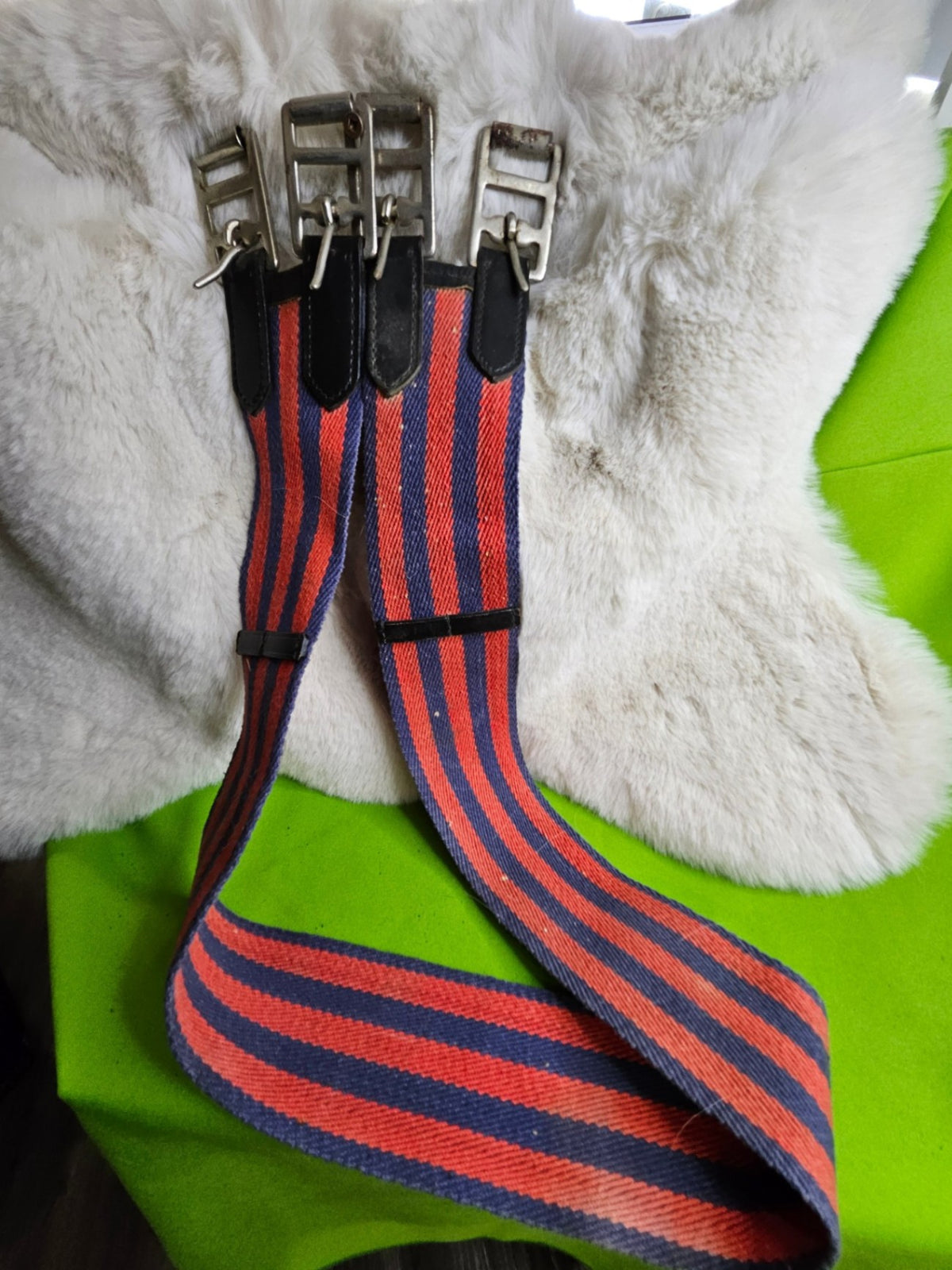 English Girth – Red/Blue, 48" | Used