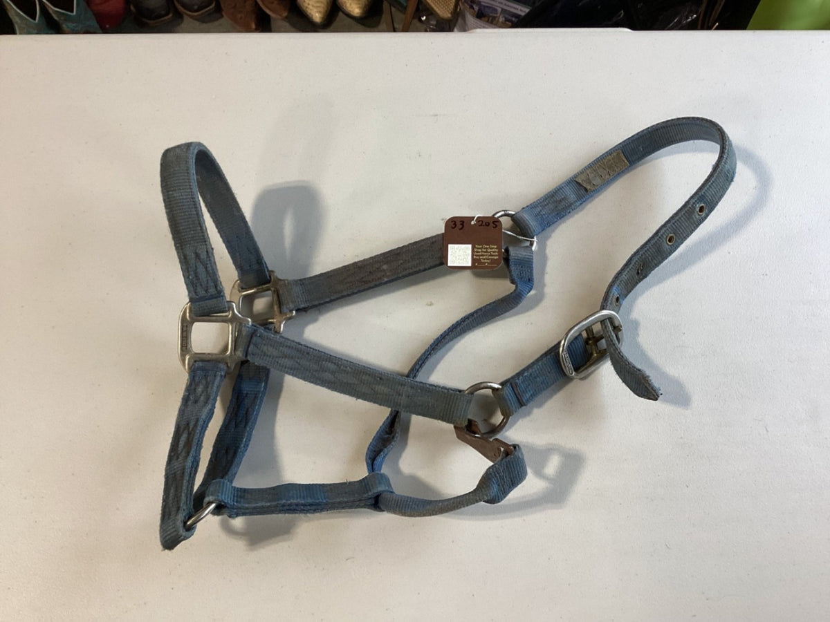 Halter – Nylon, Faded Blue | Used