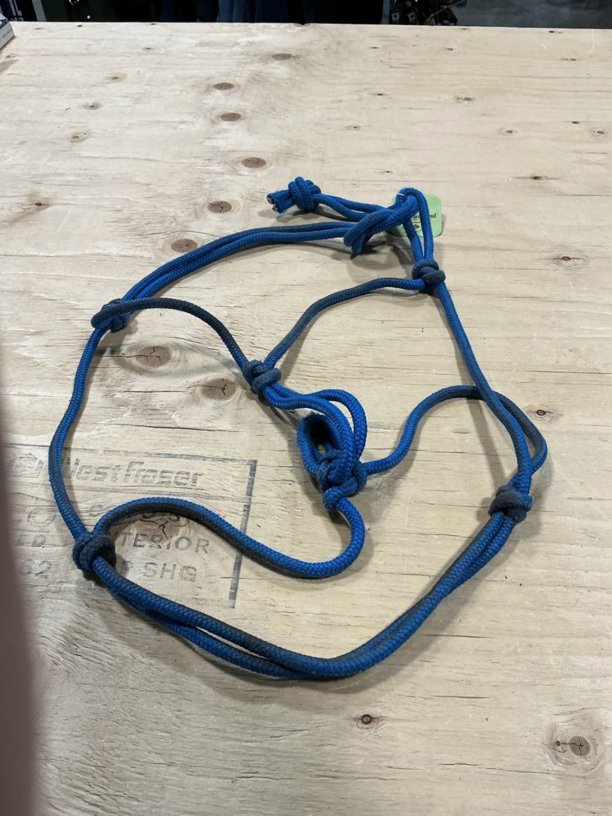 Halter – Rope, Blue, Full | Used