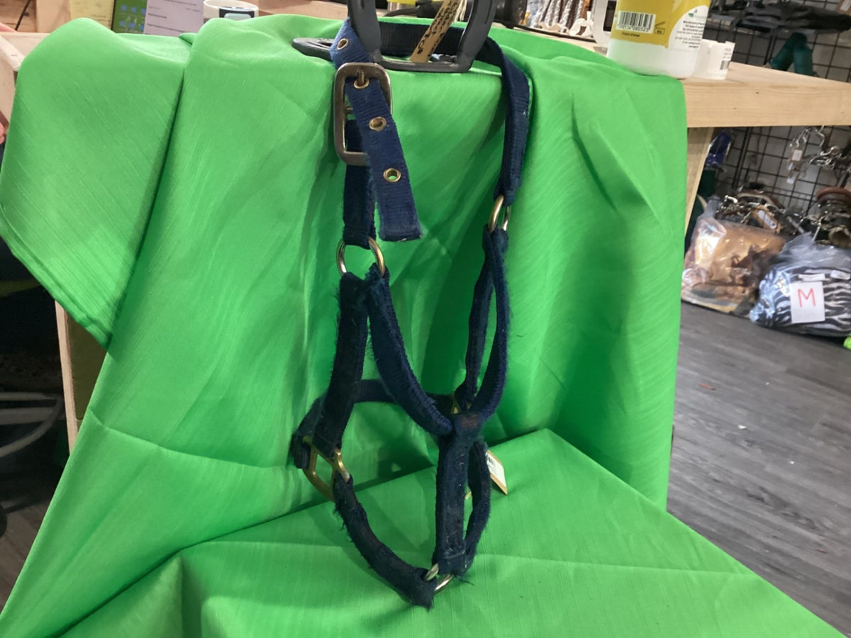 Halter – Nylon, Blue (2 Available) | Used