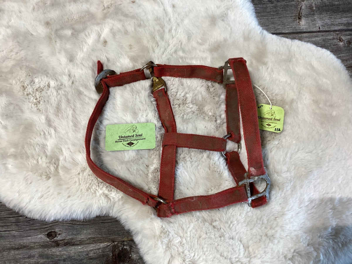 Halter – Nylon, Red (C) | Used