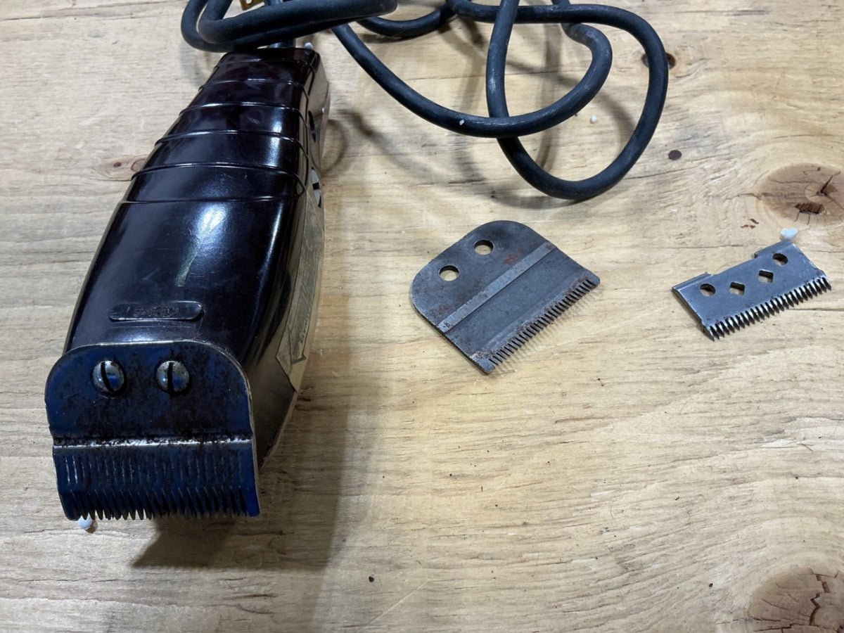 Ear Trimmer – Oster | Used