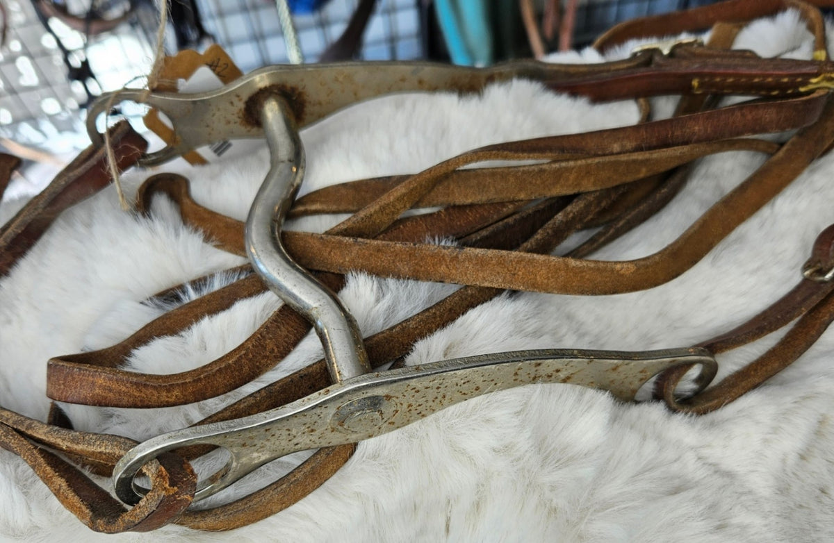 Bit & Reins – 5" Bit with Lightweight Reins (#2) | Used
