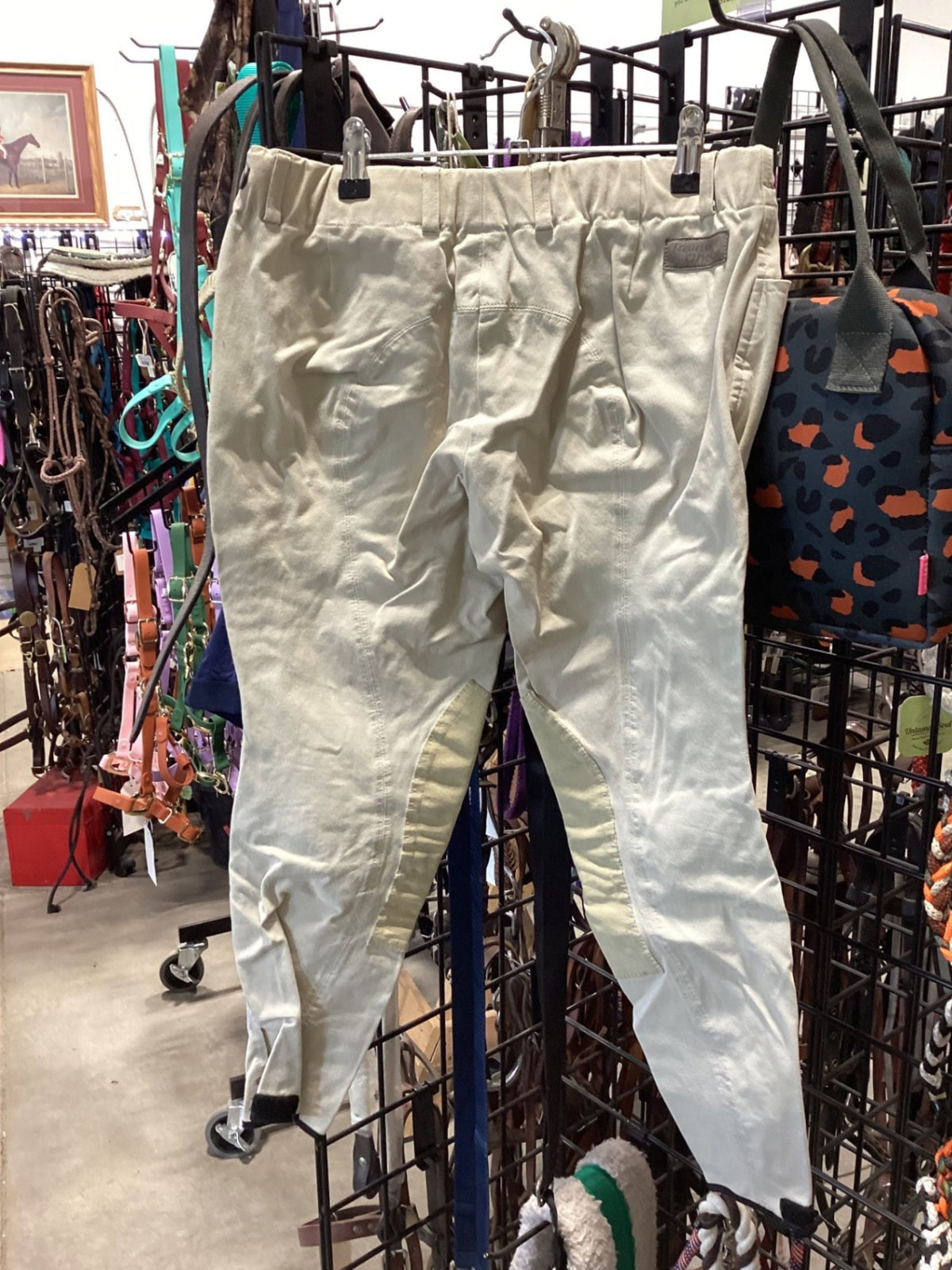 English Breeches – Trainers Choice, 26L | Used