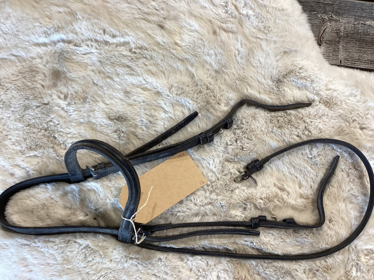 English Bridle – Schooling, Dark (Price Each) | Used