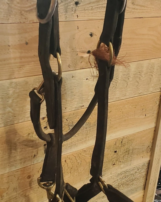 Halter – Leather (B, Broken Clasp) | Used