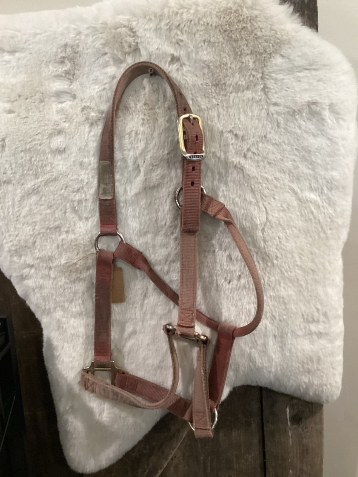 Halter – Nylon, Pink with Cheek Snap | Used