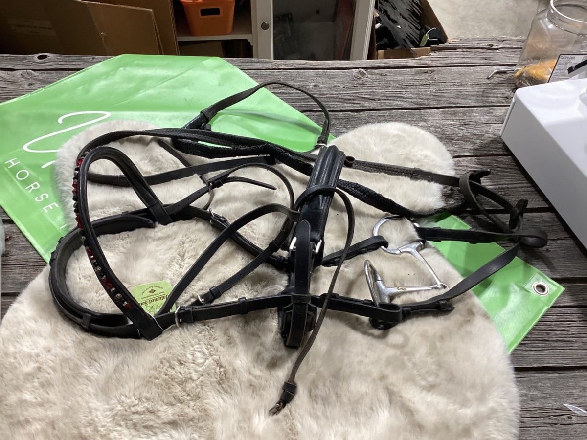 English Bridle with 5.5" Bit & Reins – Schooling | Used