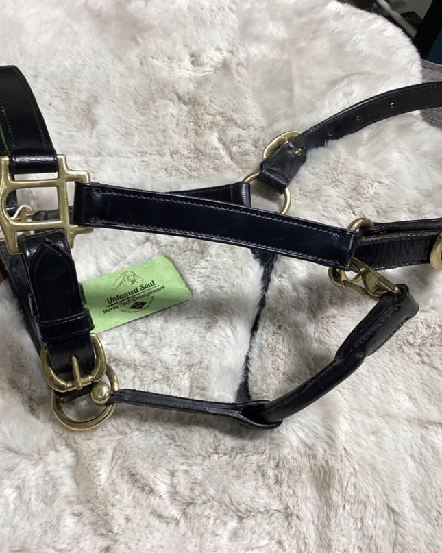 Halter – Leather, Black | Used
