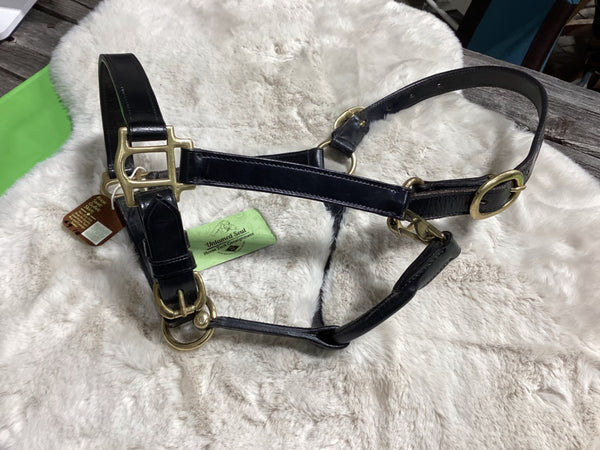Halter – Leather, Black | Used