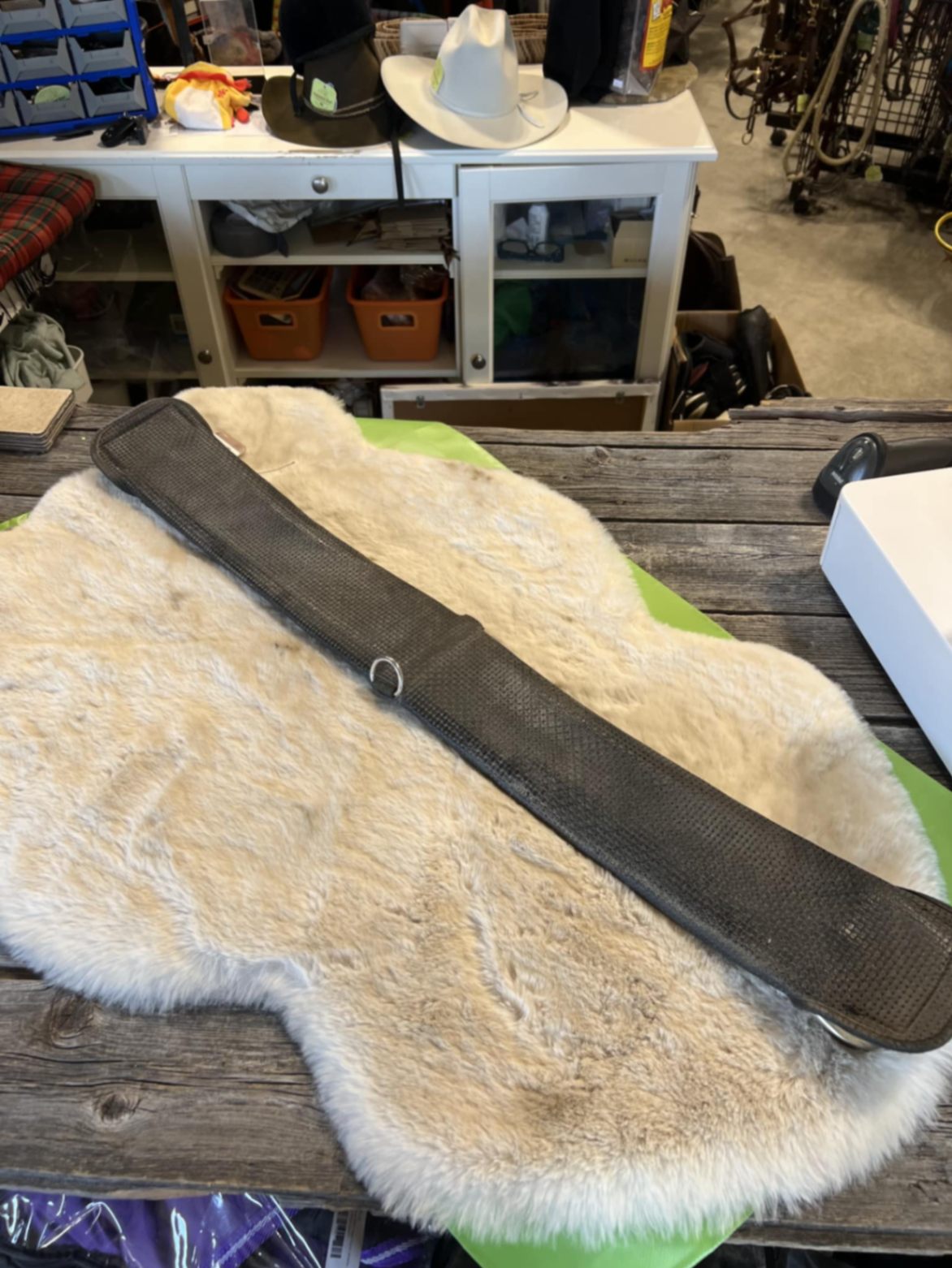 Western Cinch – Neoprene, 37" (B) | Used, Acceptable