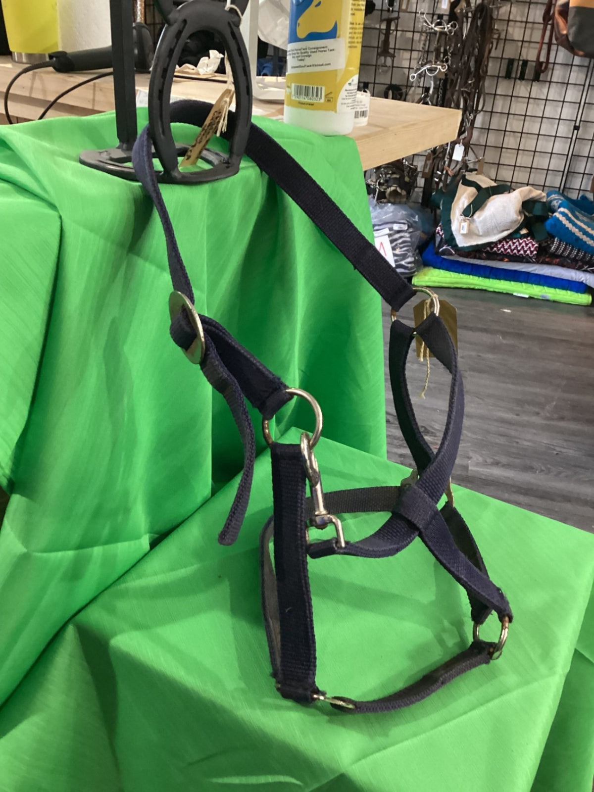 Halter – Nylon, Blue (2 Available) | Used