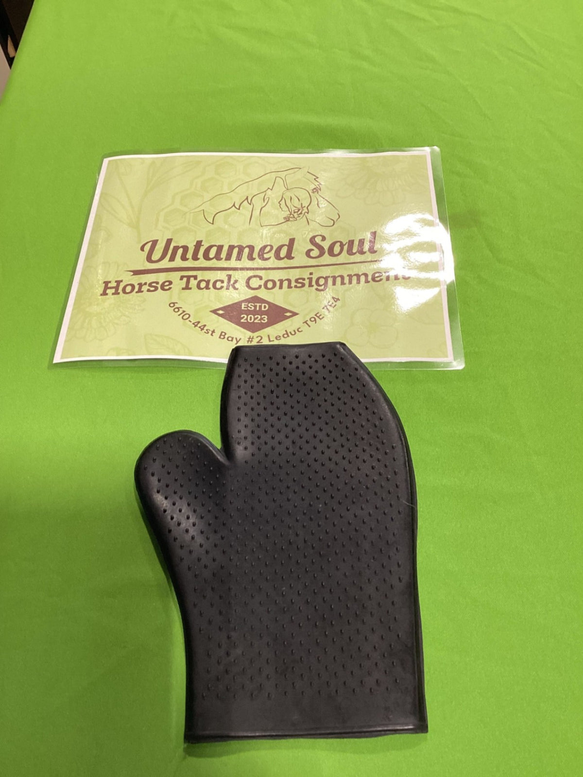 Grooming Glove – Black | Used