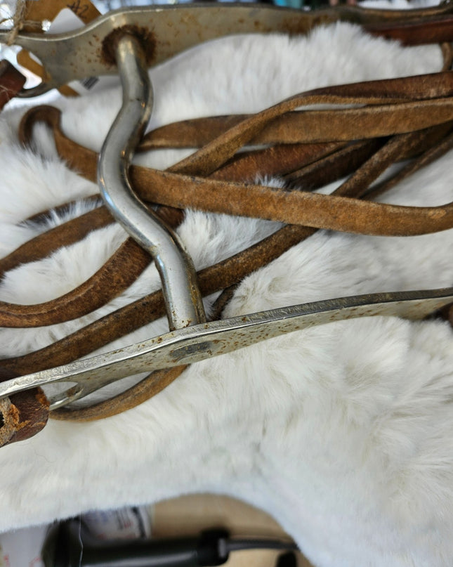 Bit & Reins – 5" Bit with Lightweight Reins (#2) | Used