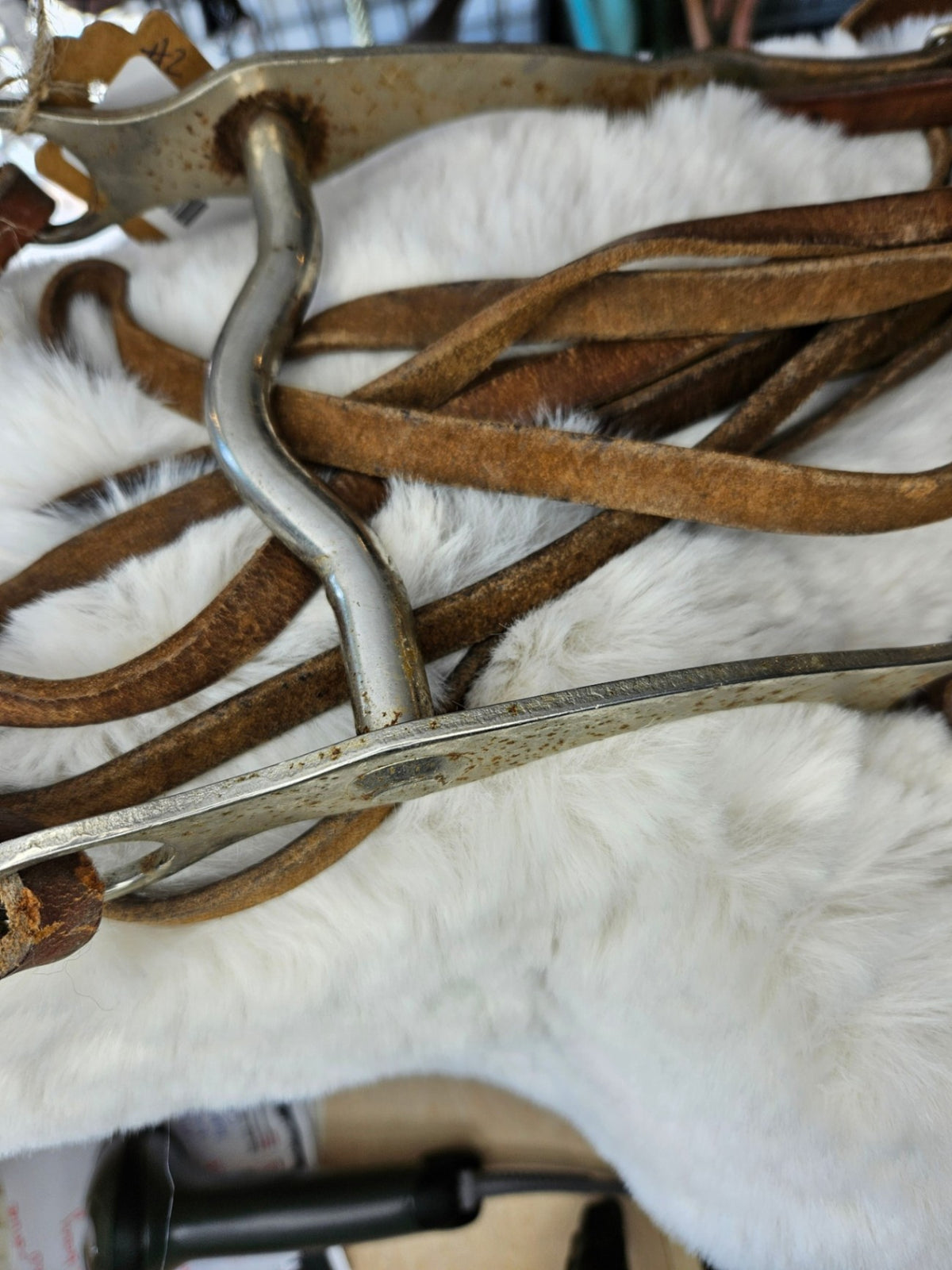 Bit & Reins – 5" Bit with Lightweight Reins (#2) | Used