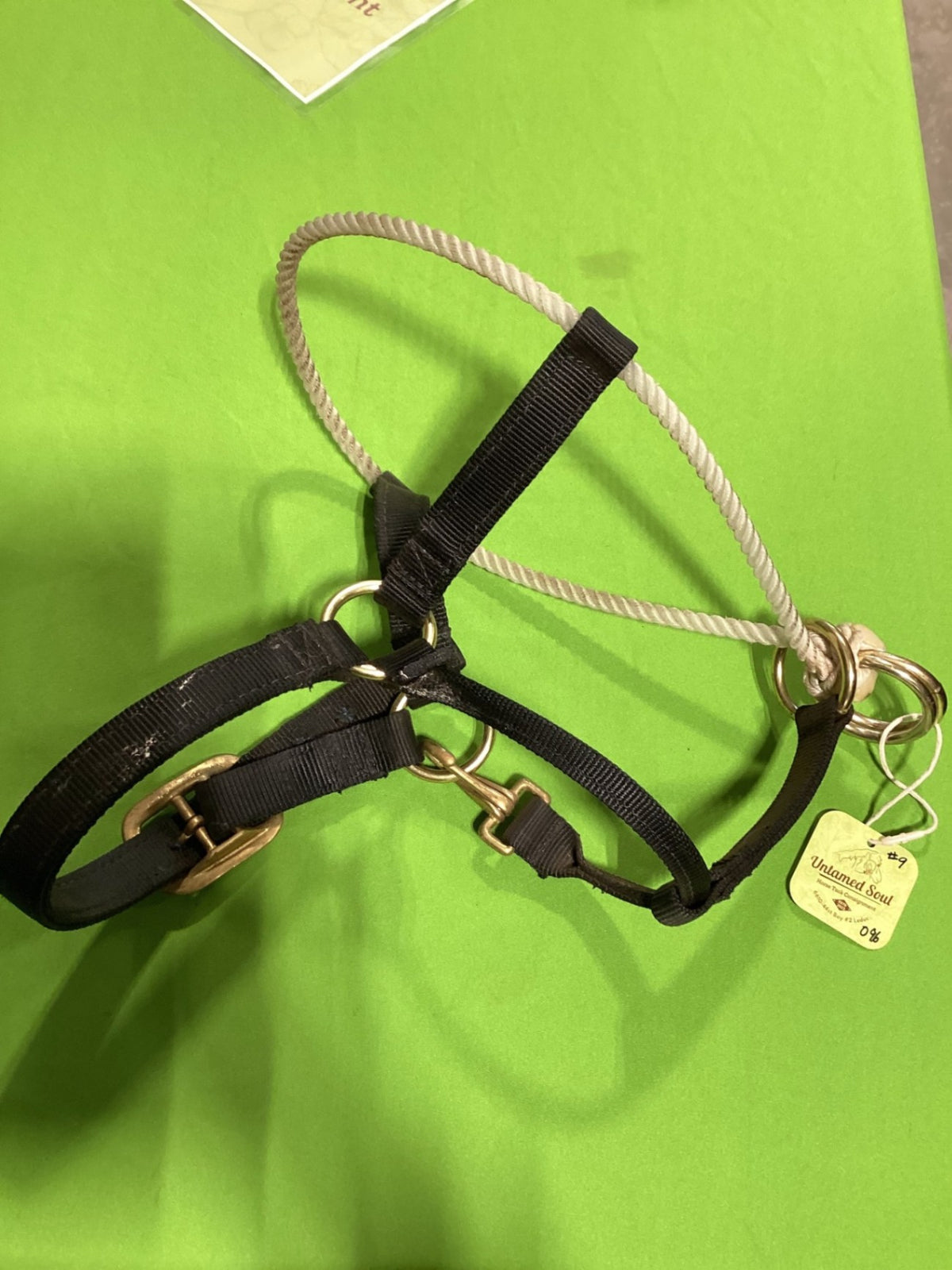 Hackamore – Nylon Halter with Rope, Black | Used