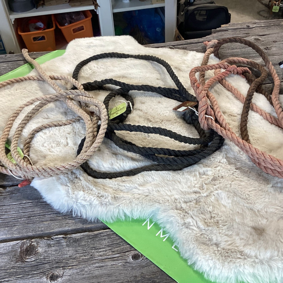 Halter – Cow, Rope (3 Available, Price Each) | Used