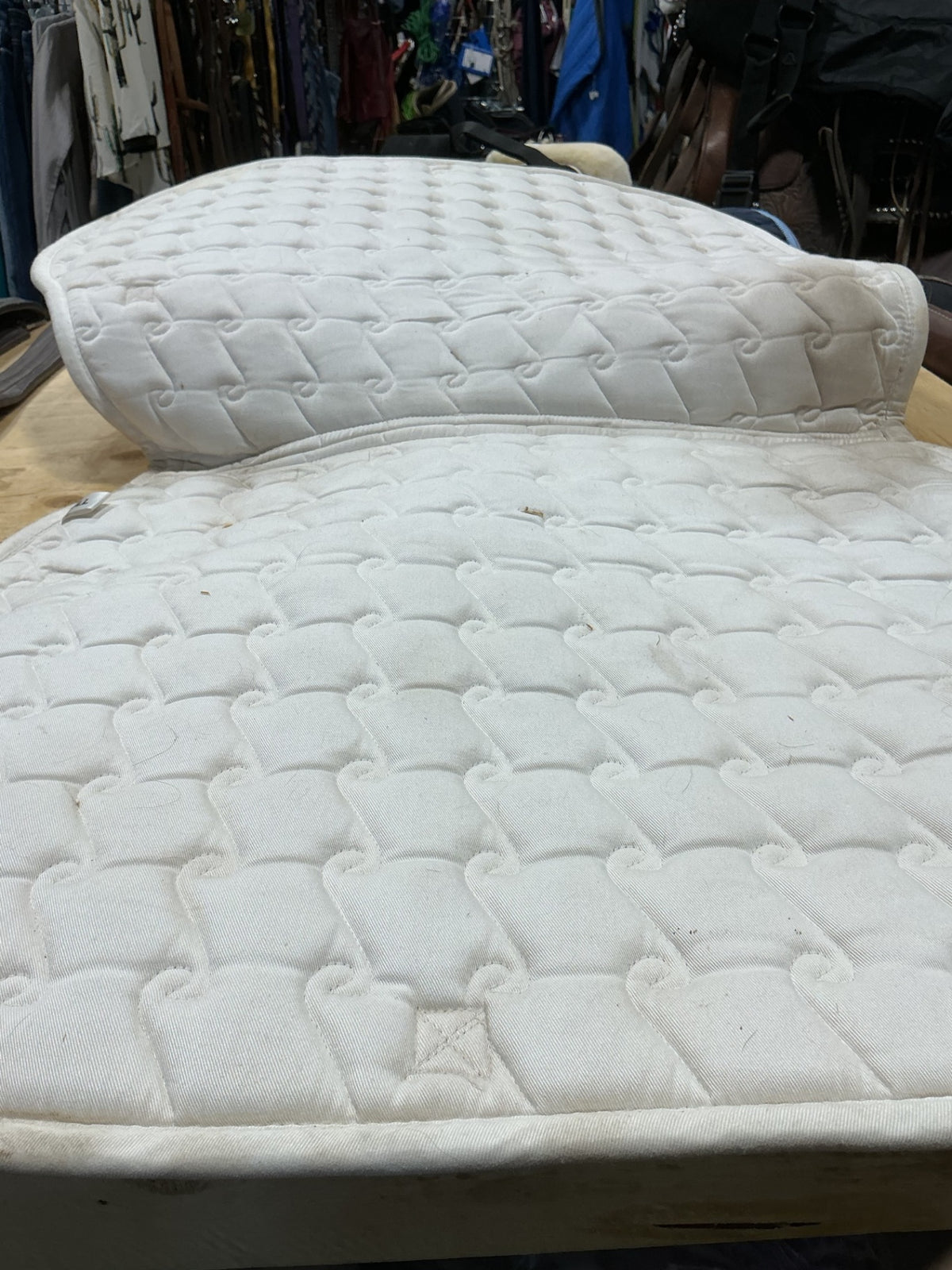 English Saddle Pad – White with Purple Trim, Full | Used