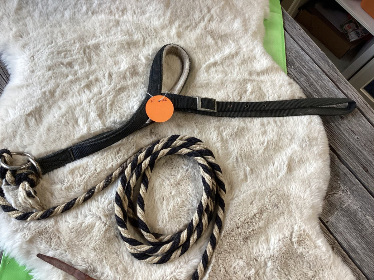 Lead – Noseband Lead, Black | Used