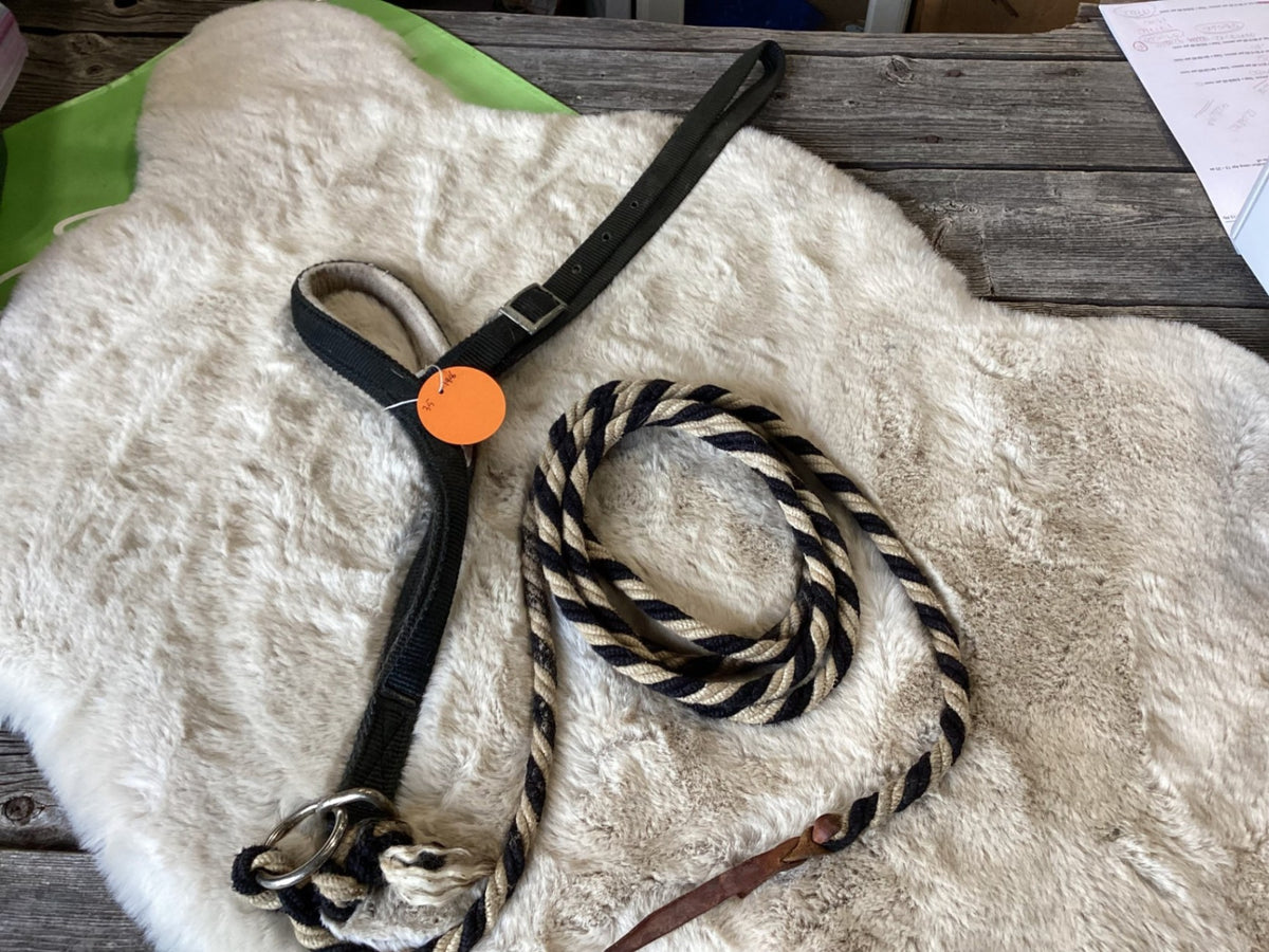Lead – Noseband Lead, Black | Used